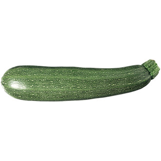 Zucchini Grön