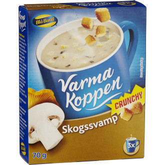 Skogssvamp Med Krutonger Varma Koppen