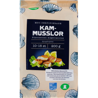 Kammusslor MSC