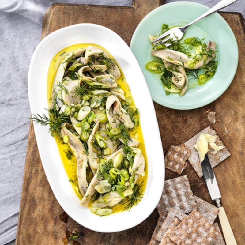 Gravad strömming med citrus och dill