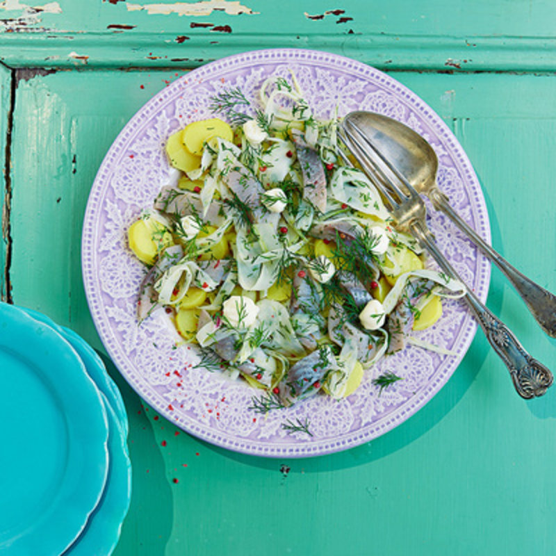 Citron- och fänkålssillsallad