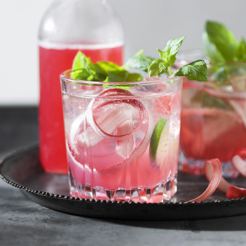 Rabarbermojito