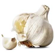 Vitlök
