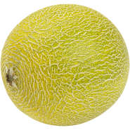 Melon Galia