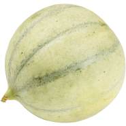 Melon Cantaloupe