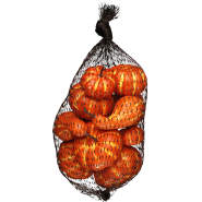 Pumpor 12-pack