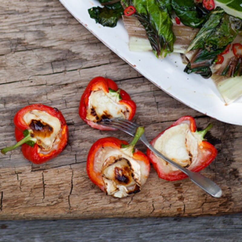 Grillad paprika med chevre