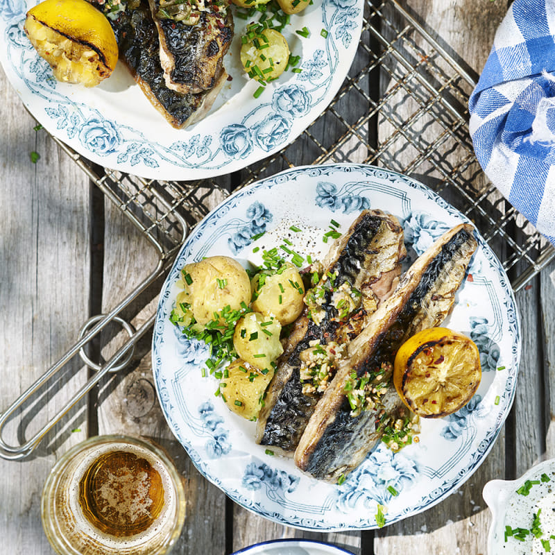 Grillad makrill med kapriscitronette