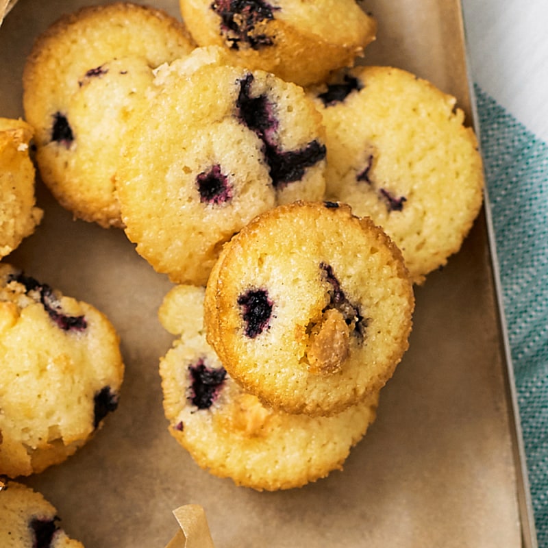 Blåbärsmuffins
