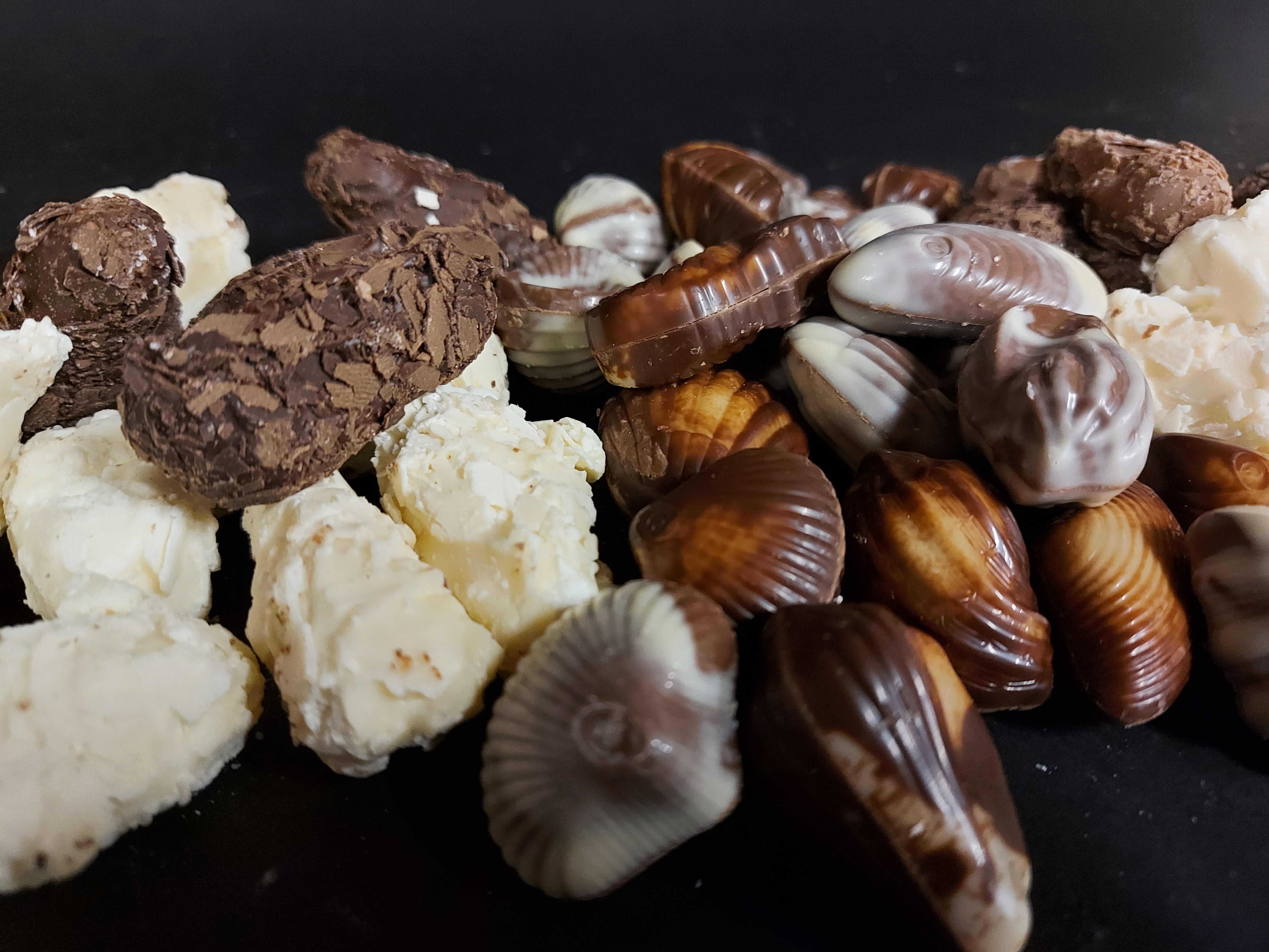Zeevruchten en Truffels van Belgische chocolade gemaakt