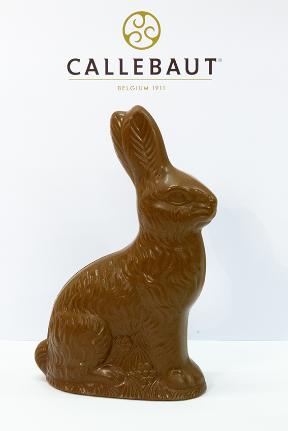 Chocolade zithaas - 300 gr - melkchocolade