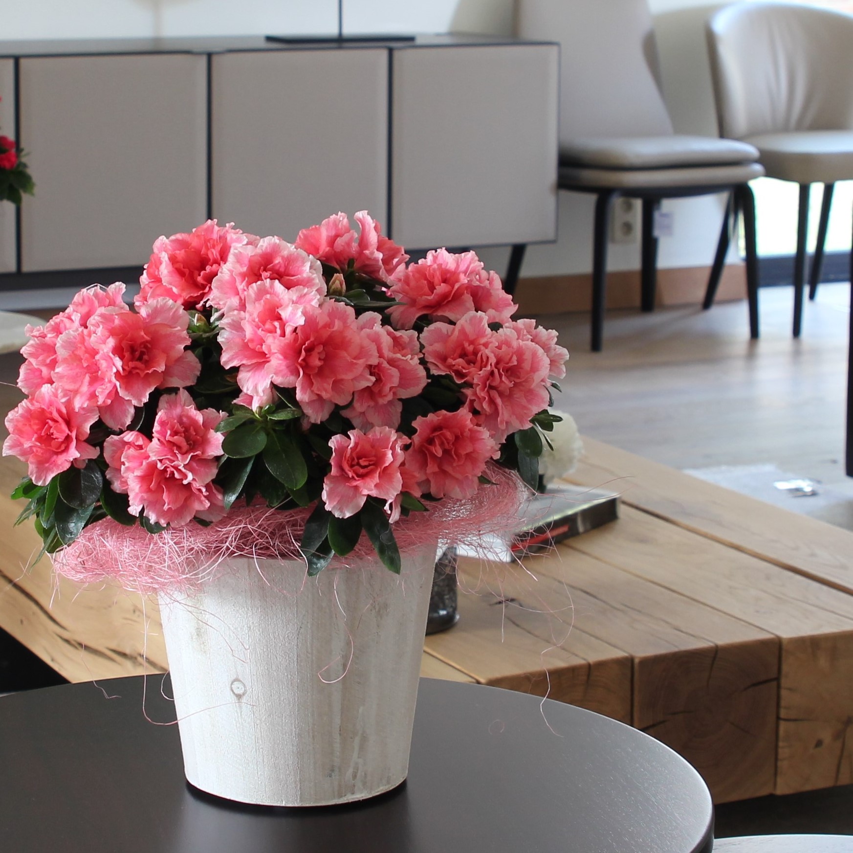zalmroze azalea in houten pot