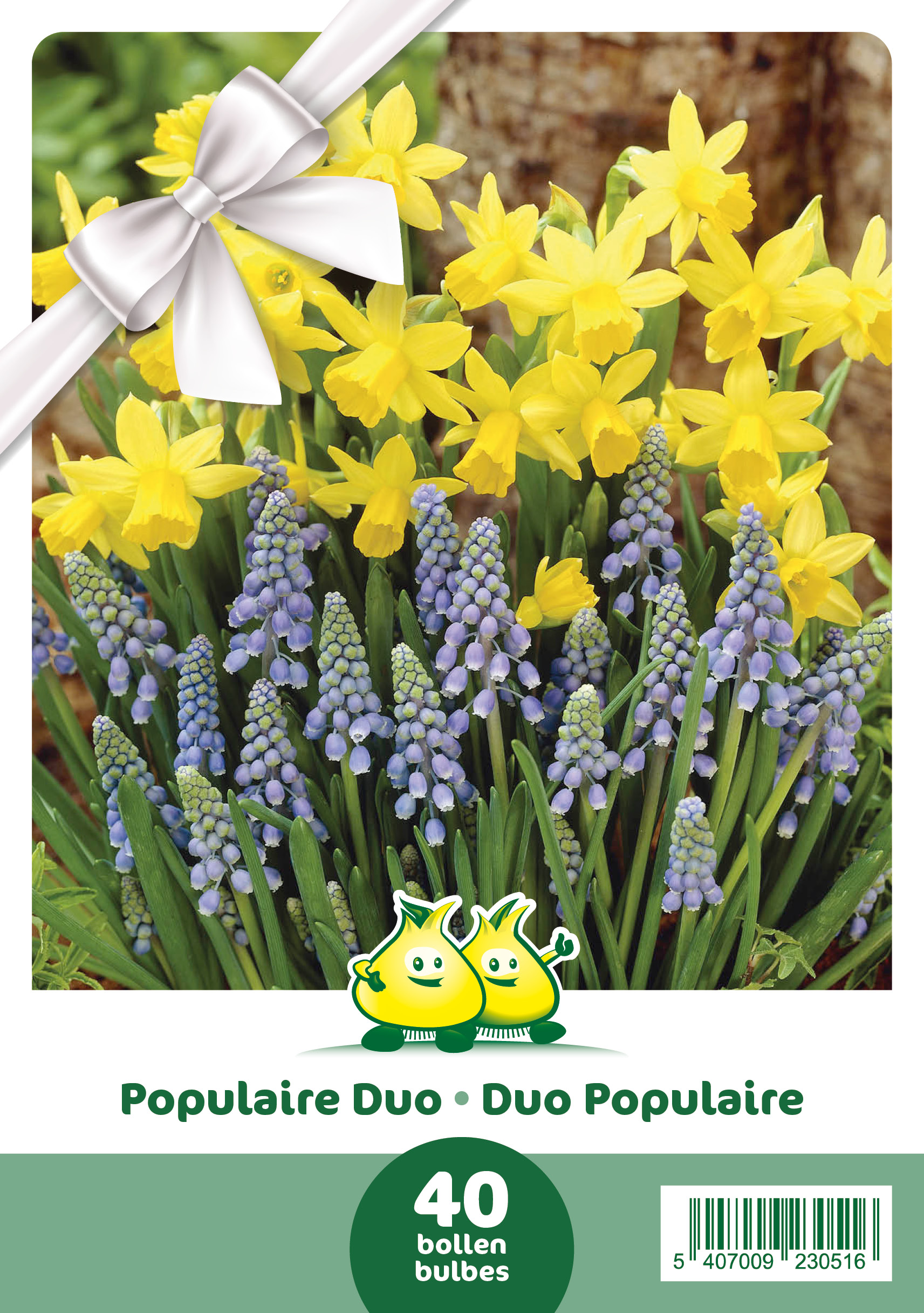 Populair Duo 40 bloembollen