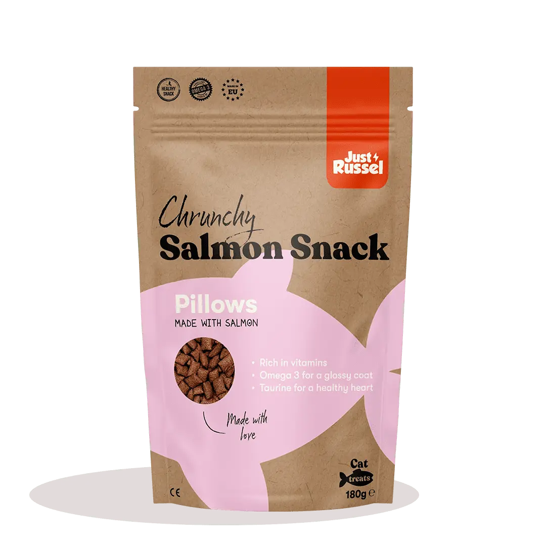 Gezonde Kattensnoepjes - Ierse Zalm