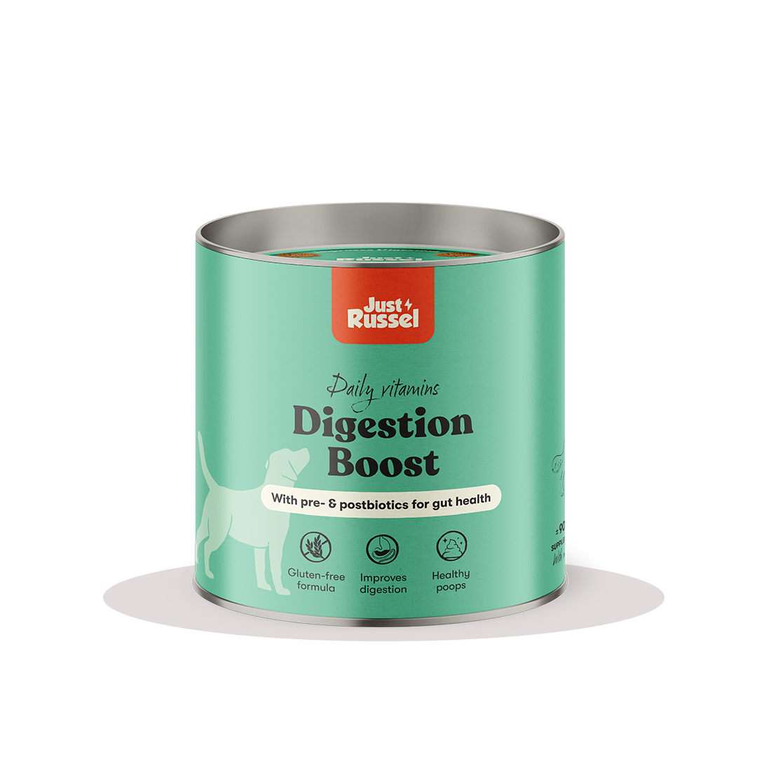 Digestion Boost - Supplement