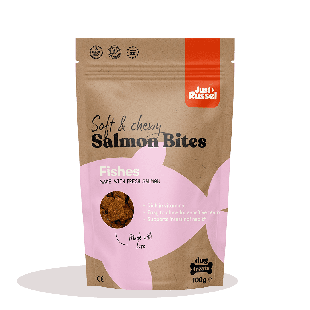 Hondenkoekjes - Zalm