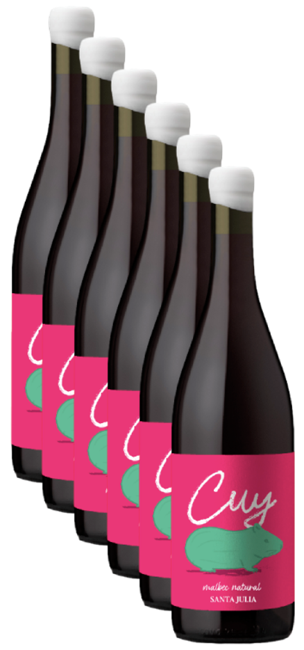 Doos ( 6 flessen ) Cuy Hoe malbec bio