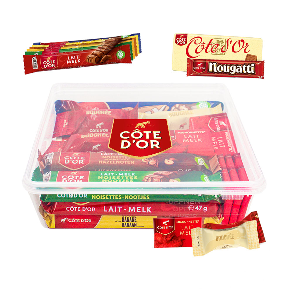 Côte d'Or chocoladepakket - 21 stuks - 607g