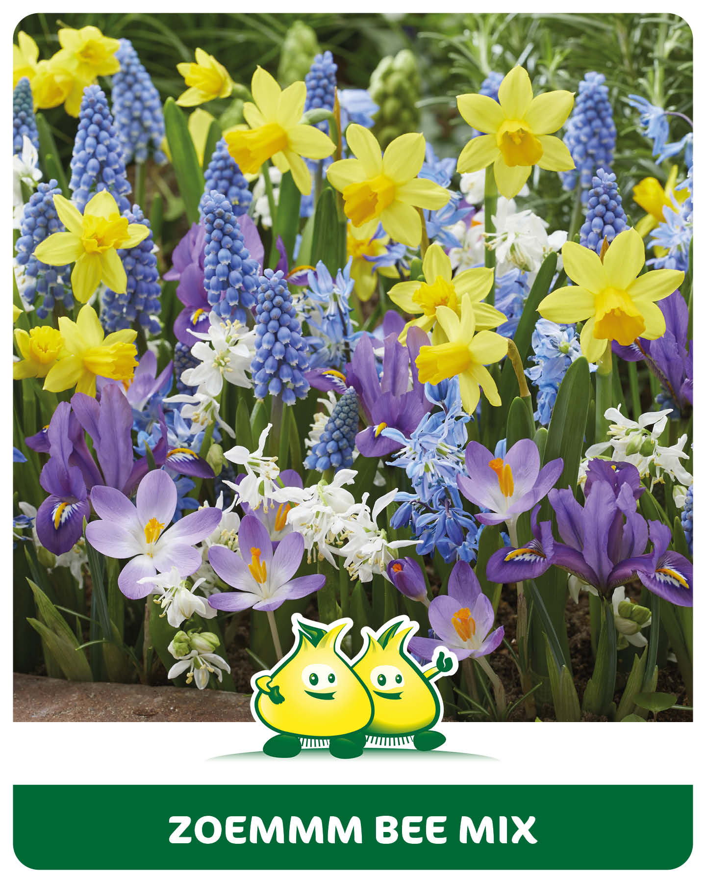 Zoemmm mix 25 bollen