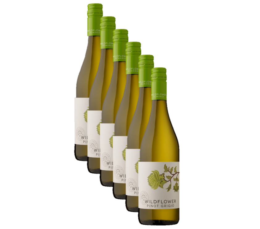 doos ( 6 flessen ) Wildflower pinot grigio