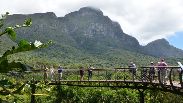 Balade dans le jardin de Kirstenbosch