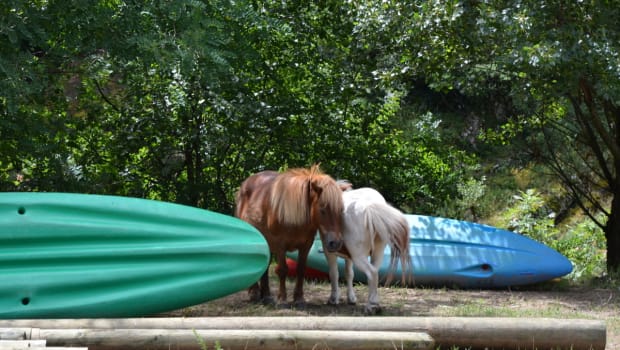 Séjour et activités en Ardèche