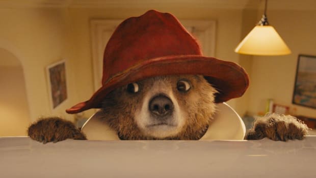 Paddington, l’ours qui vous fera craquer