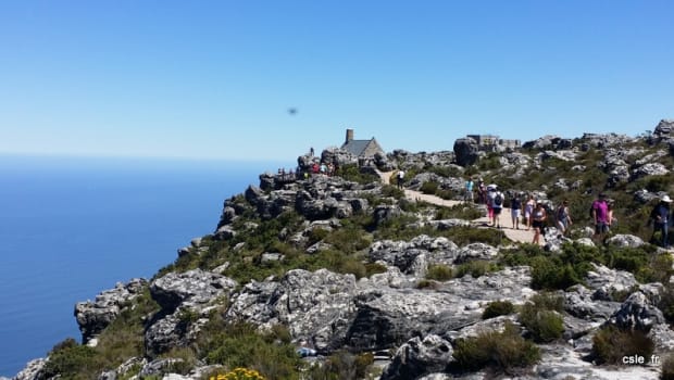 Promenade au sommet de Table Mountain