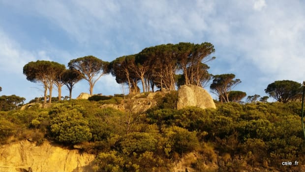 1ère étape : Arrivée à Cape Town