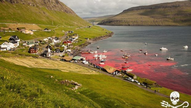 Partir aux îles Féroé ou pas…