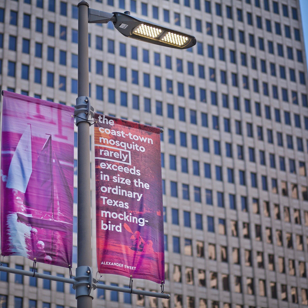 It's a banner season in downtown Houston with quirky words of wisdom