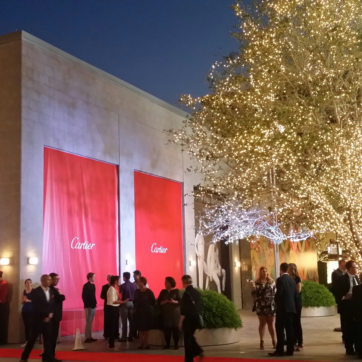 Opening soirée for swank Cartier emporium enjoys a chic Euro vibe