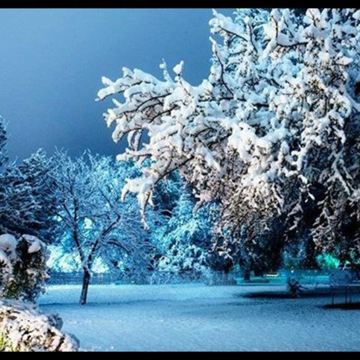 See Surprise Snowfall Transform Austin Into Magical Winter