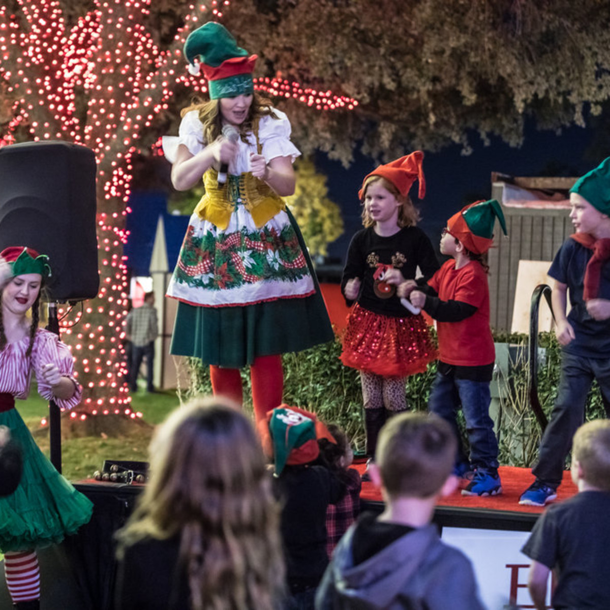 Hotel anatole dallas texas christmas