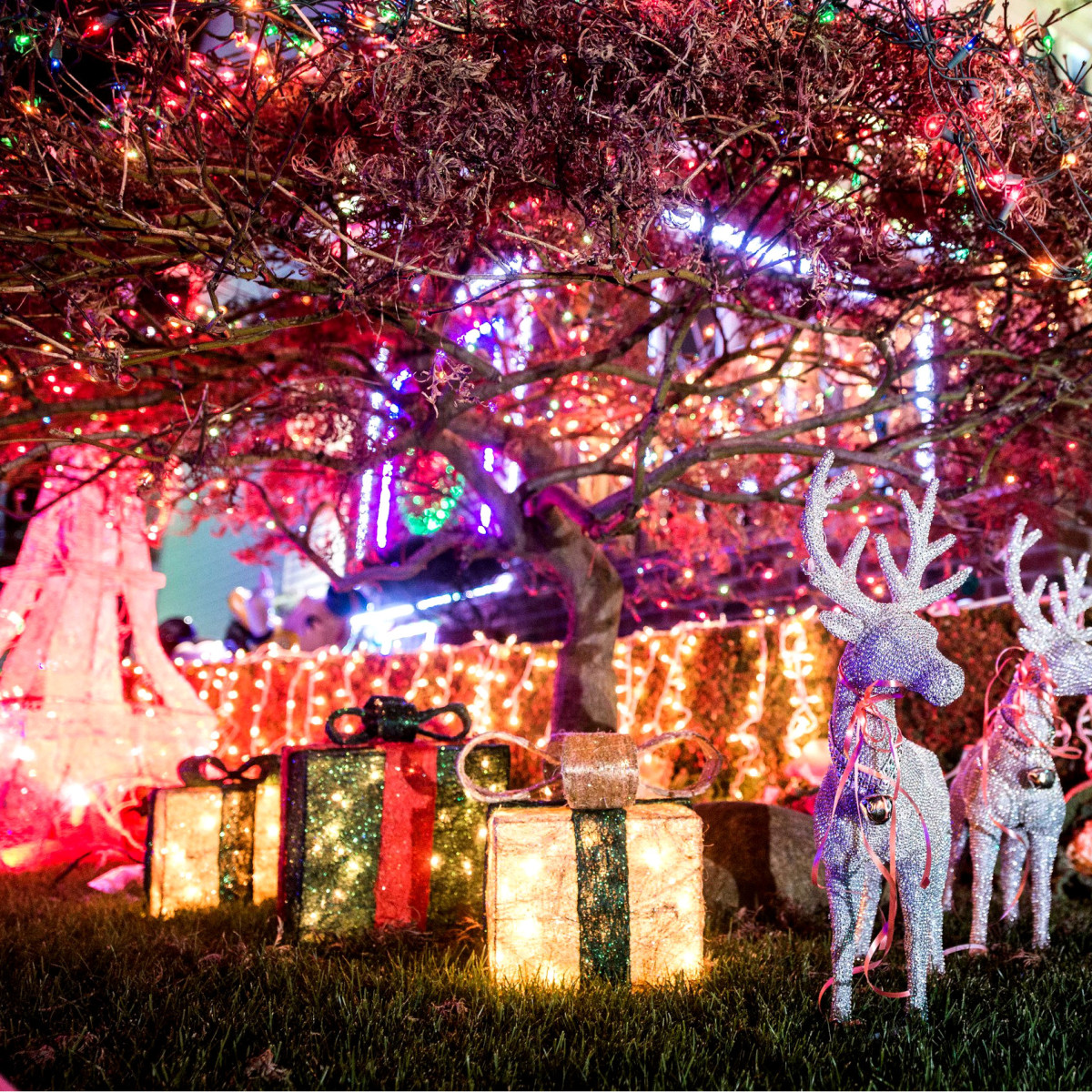 The Best And Brightest Light Displays Around Houston In Lights In The Heights House Decoration