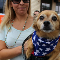 Dallas Pets Alive! presents 2017 Pup Crawl