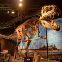 Perot Museum presents Ultimate Dinosaurs