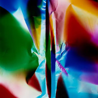 Amon Carter Museum of American Art presents Ellen Carey: Dings, Pulls, and Shadows