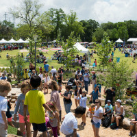 Market in the Park