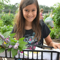 The Family Adventure Garden