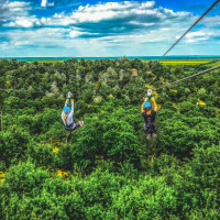 Zip Lost Pines