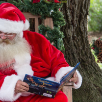 Christmas In The Park