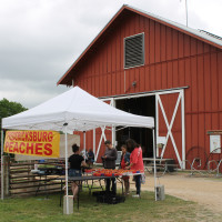 Pfarmers Market