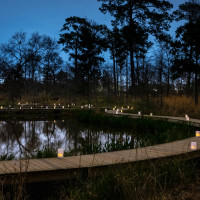 Houston Arboretum ravine bridge