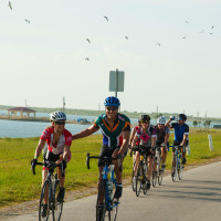 Bike Around the Bay