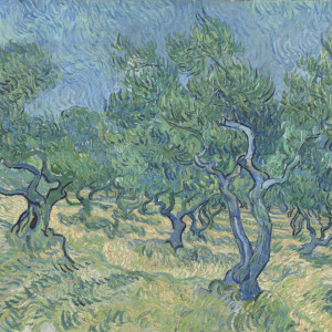 Dallas Art Museum Mounts First Display Of Important Van Gogh