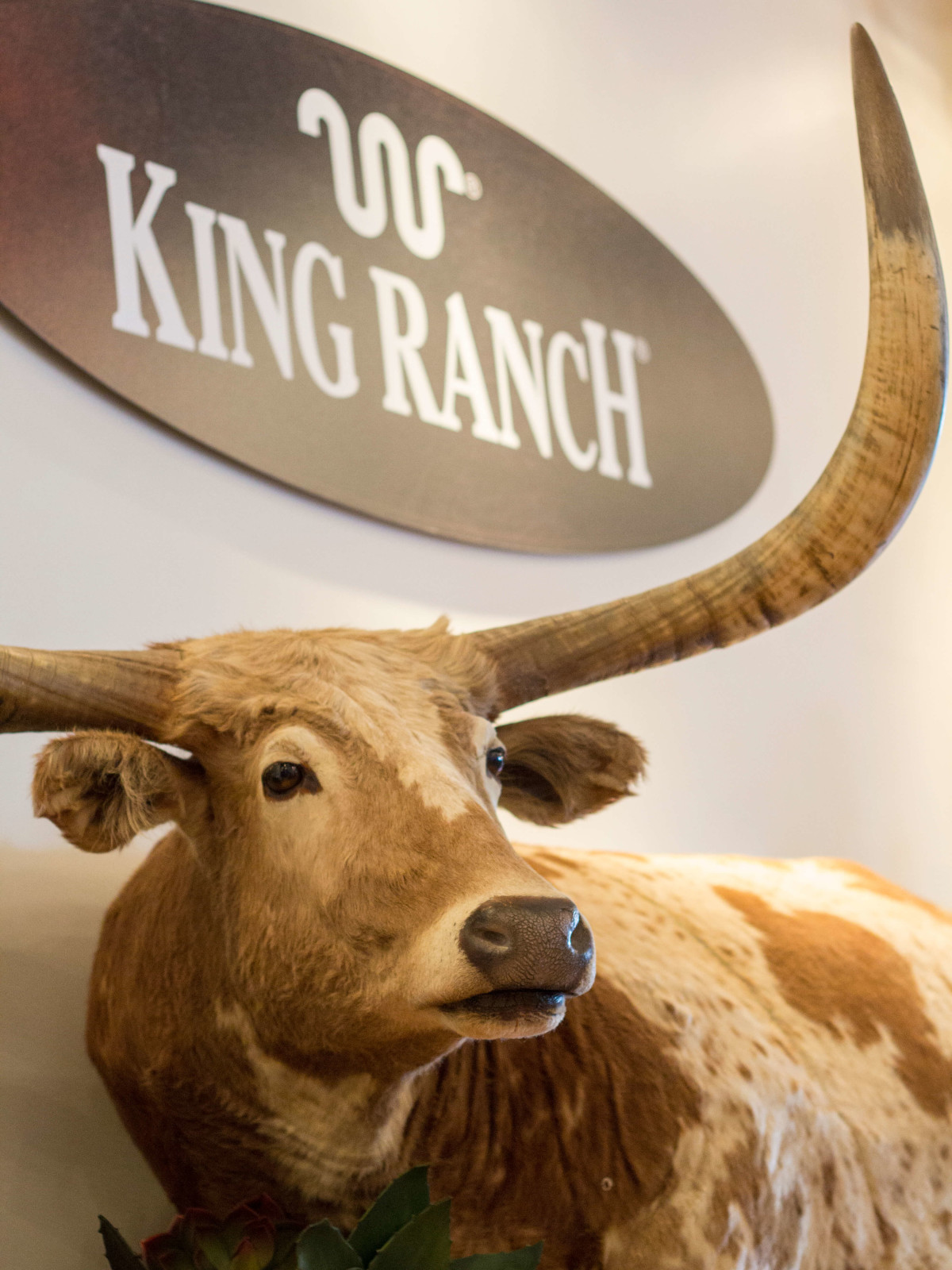 King Ranch Saddle Shop in Houston, August 2016