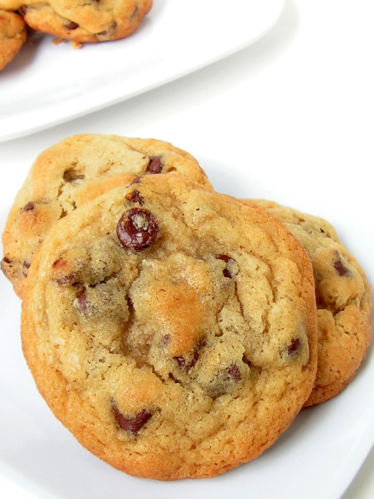 Chocolate chip cookies at Tiny Boxwoods
