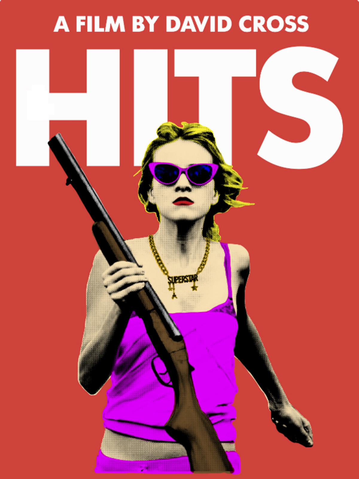 Hits_movie_David Cross_poster CROPPED_2015