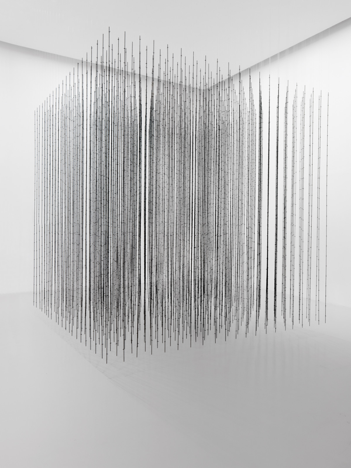Mona Hatoum: Terra Infirma, Impenetrable, 2009